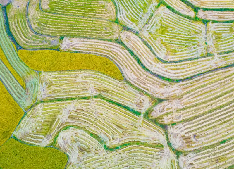 常州植保无人机选购指南：2024年农用无人机型号与价格参考正文配图 1