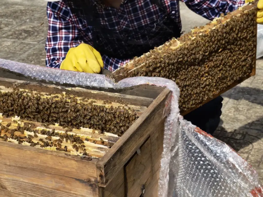 常州地区航拍无人机巡检农业大棚的案例与效益分析