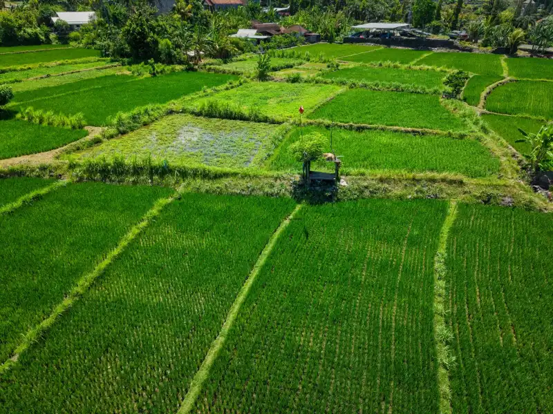 常州地区水稻植保无人机选型要点与喷洒效果对比分析