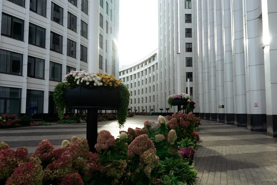 植保无人机与喷洒无人机技术解析：提升农业植保效率的关键路径